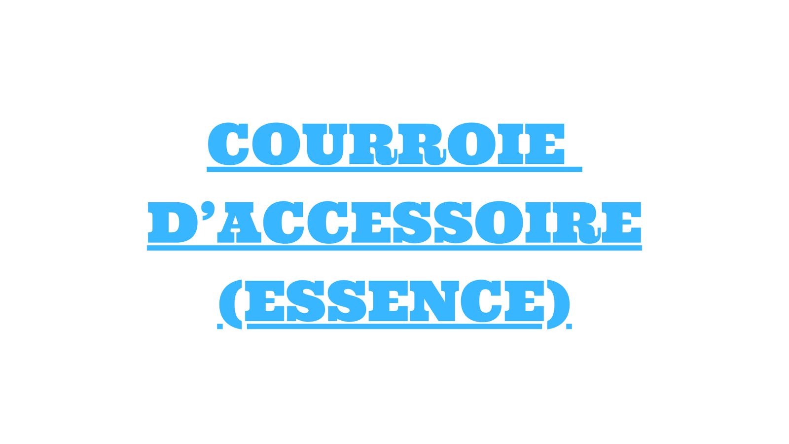 courroie d accessoire essence