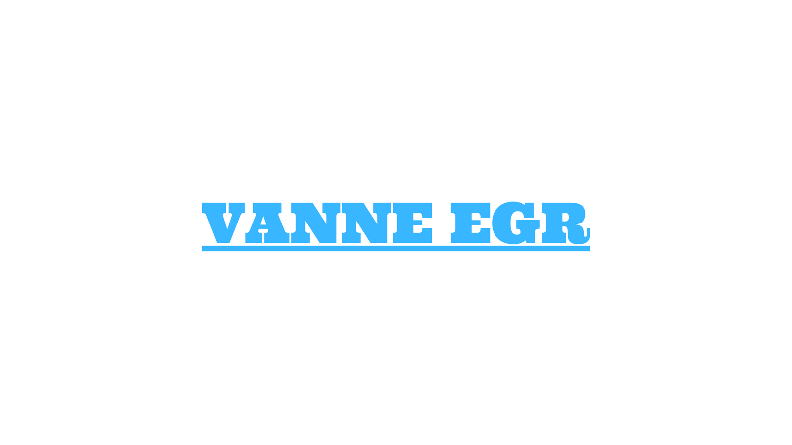 vanne egr